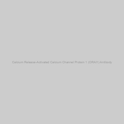 Abbexa - Calcium Release-Activated Calcium Channel Protein 1 (ORAI1) Antibody